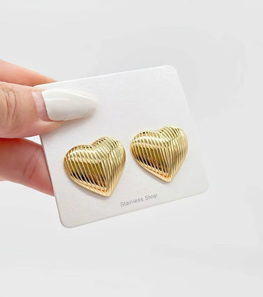 Boucles d'oreilles CAM83