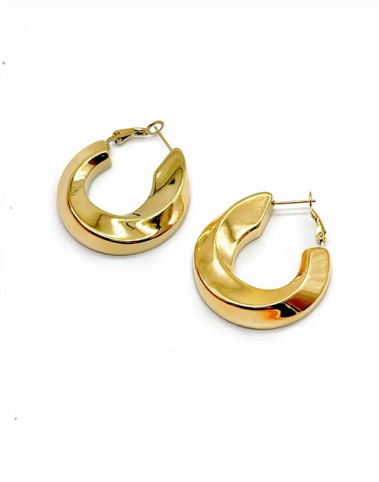 Boucles d'oreilles CAM20