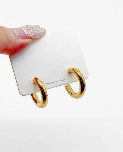 Boucles d'oreilles CAM35