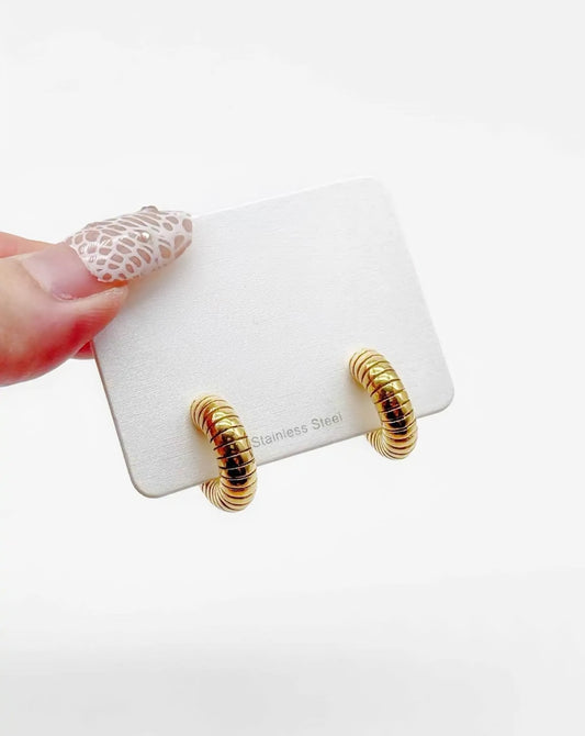 Boucles d'oreilles CAM40